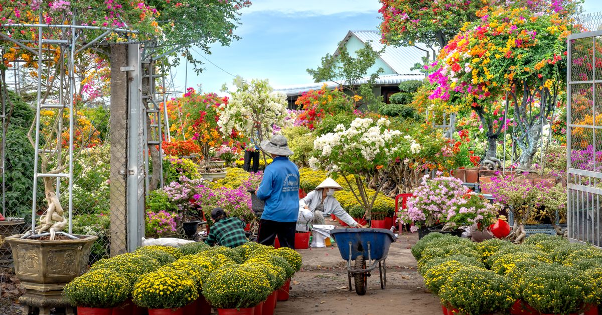Colorful garden with people tending to flowers and plants, outdoors.